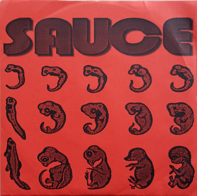 Sauce - If Any
