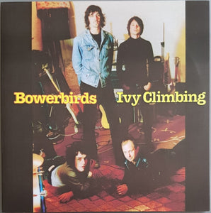 Bowerbirds - Ivy Climbing