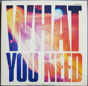 INXS - What You Need