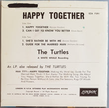 Load image into Gallery viewer, Turtles - Happy Together