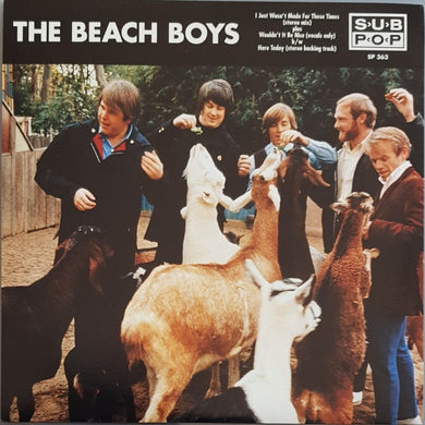 Beach Boys - I Just Wasn't Made For These Times (stereo mix)