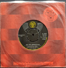 Load image into Gallery viewer, Blackfoot - Bye Bye Birmingham