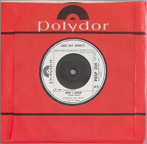 Comsat Angels - Do The Empty House
