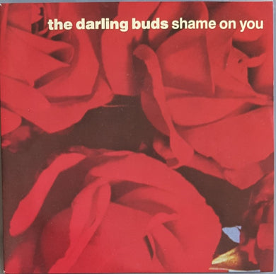 Darling Buds - Shame On You