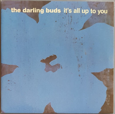 Darling Buds - It's All Up To You