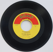 Load image into Gallery viewer, Flamin&#39; Groovies - You Tore Me Down
