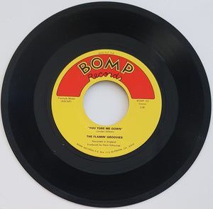 Flamin' Groovies - You Tore Me Down