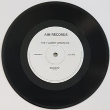 Load image into Gallery viewer, Flamin' Groovies - Way Over My Head