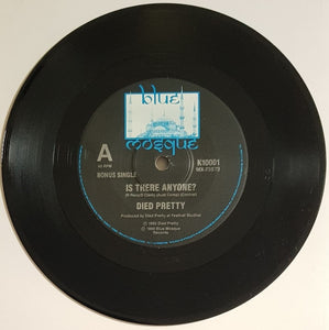 Died Pretty  - True Fools Fall