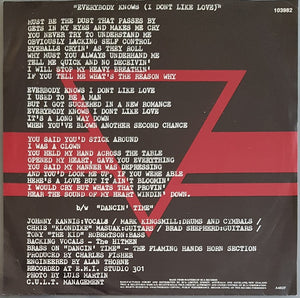 Hitmen  - Everybody Knows (I Don't Like Love)