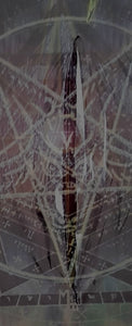 Venom  - MWV
