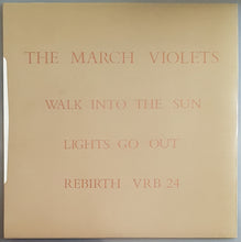 Load image into Gallery viewer, March Violets - Walk Into The Sun