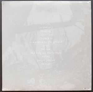 Torch Runner - Committed To The Ground