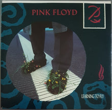 Load image into Gallery viewer, Pink Floyd - Learning To Fly