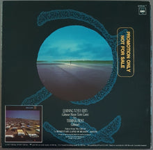Load image into Gallery viewer, Pink Floyd - Learning To Fly