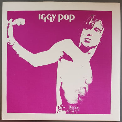 Iggy Pop - Steve Jones Demo
