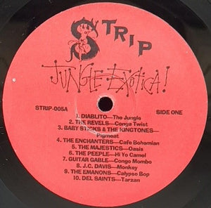 V/A - Jungle Exotica