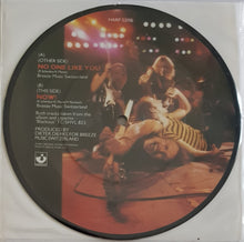 Load image into Gallery viewer, Scorpions - No One Like You
