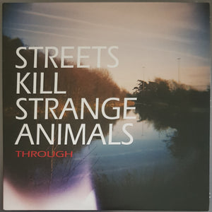 Streets Kill Strange Animals - Through