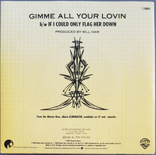 Load image into Gallery viewer, ZZ Top - Gimme All Your Lovin