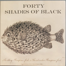 Load image into Gallery viewer, Forty Shades Of Black - Belisha