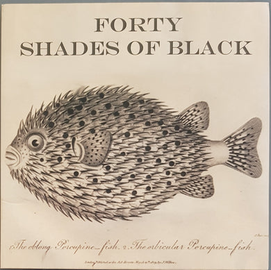 Forty Shades Of Black - Belisha