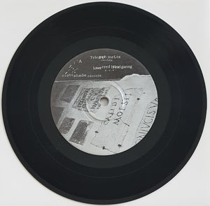 Laconic Chamber - In A Sharp Malaised Key