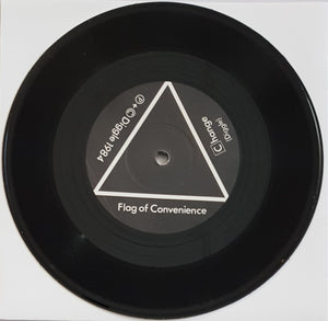 Buzzcocks (Steve Diggle) - (FLAG OF CONVENIENCE) Change