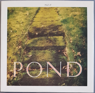 Pond - Moth