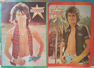 Bay City Rollers - Collection Of Posters, Pull-Outs & Pin-Ups