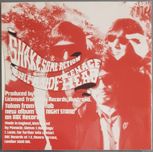 Load image into Gallery viewer, Flamin&#39; Groovies - Shake Some Action