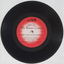 Load image into Gallery viewer, Flamin&#39; Groovies - Shake Some Action