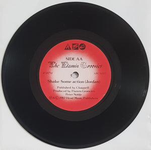 Flamin' Groovies - Shake Some Action