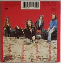 Load image into Gallery viewer, Pearl Jam - Alive