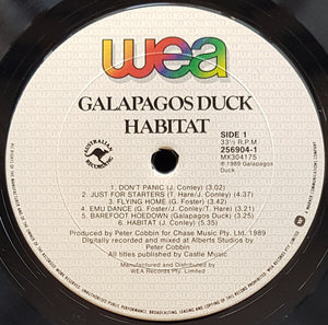 Galapagos Duck - Habitat