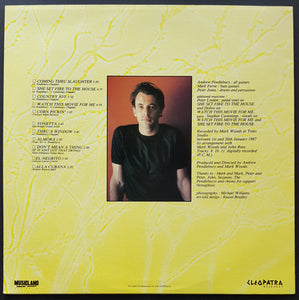 Sports (Andrew Pendlebury) - Between The Horizon And The Dockyard