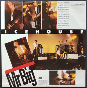 Icehouse - Mr.Big