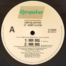 Load image into Gallery viewer, Icehouse - Mr.Big