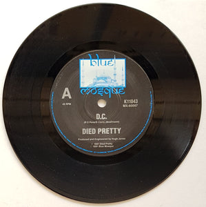 Died Pretty - D.C.