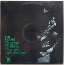 Load image into Gallery viewer, Stems - The Great Rosebud Hoax