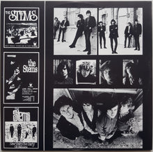 Load image into Gallery viewer, Stems - The Great Rosebud Hoax