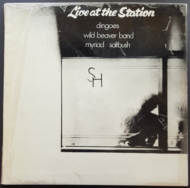 Dingoes - Live At The Station