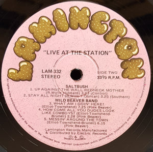 Dingoes - Live At The Station