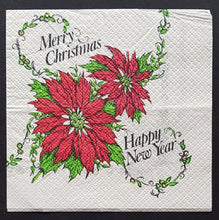 Load image into Gallery viewer, Ravers - It&#39;s Gonna Be A Punk Rock Christmas!