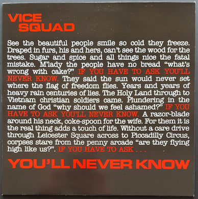 Vice Squad - You'll Never Know
