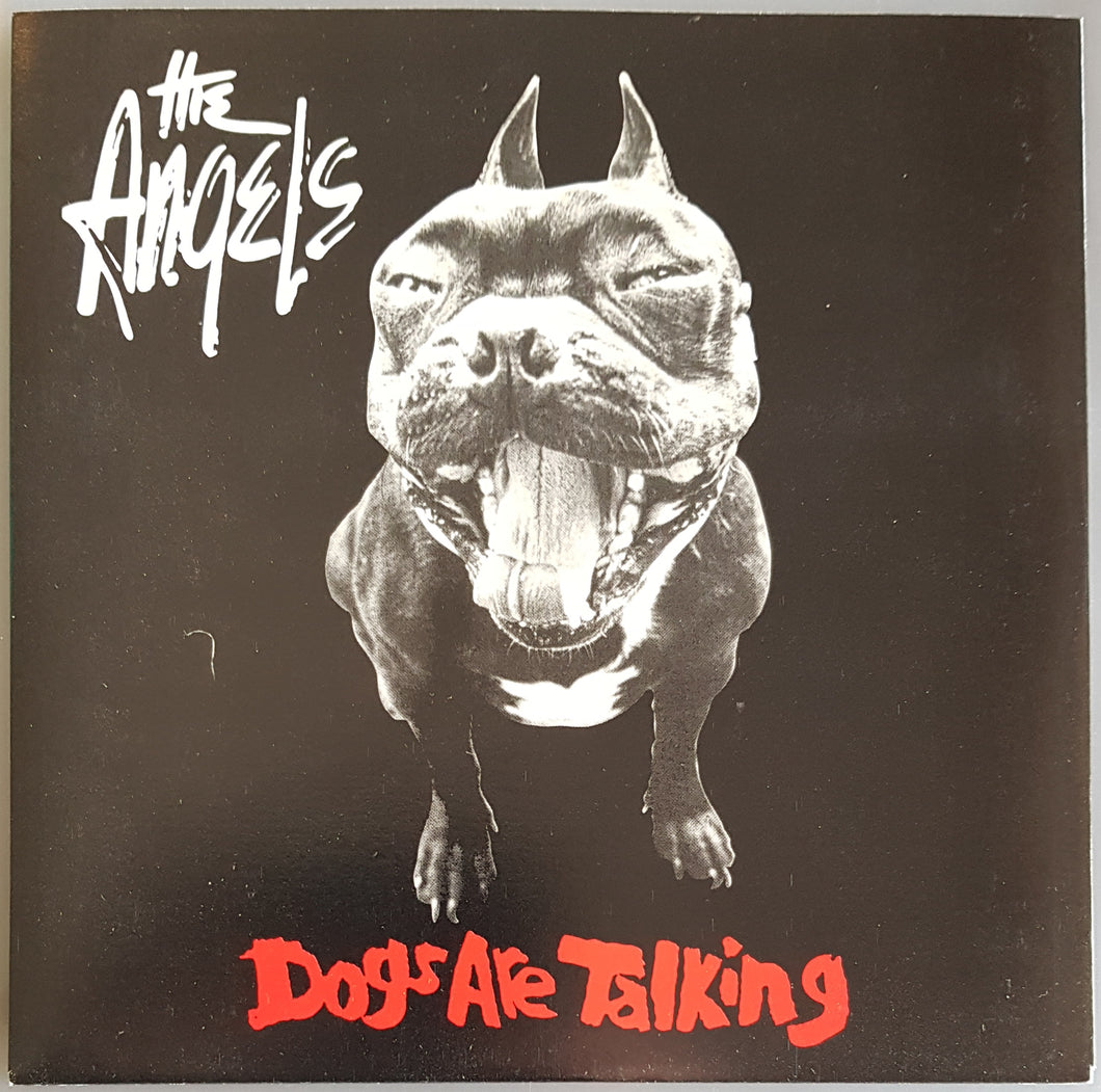 Angels - Dogs Are Talking