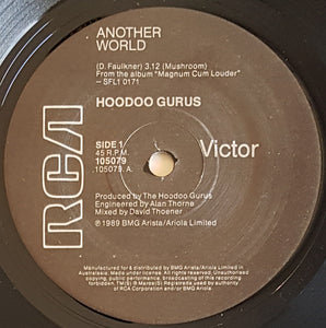 Hoodoo Gurus - Another World