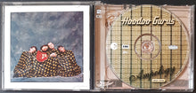 Load image into Gallery viewer, Hoodoo Gurus - Ampology