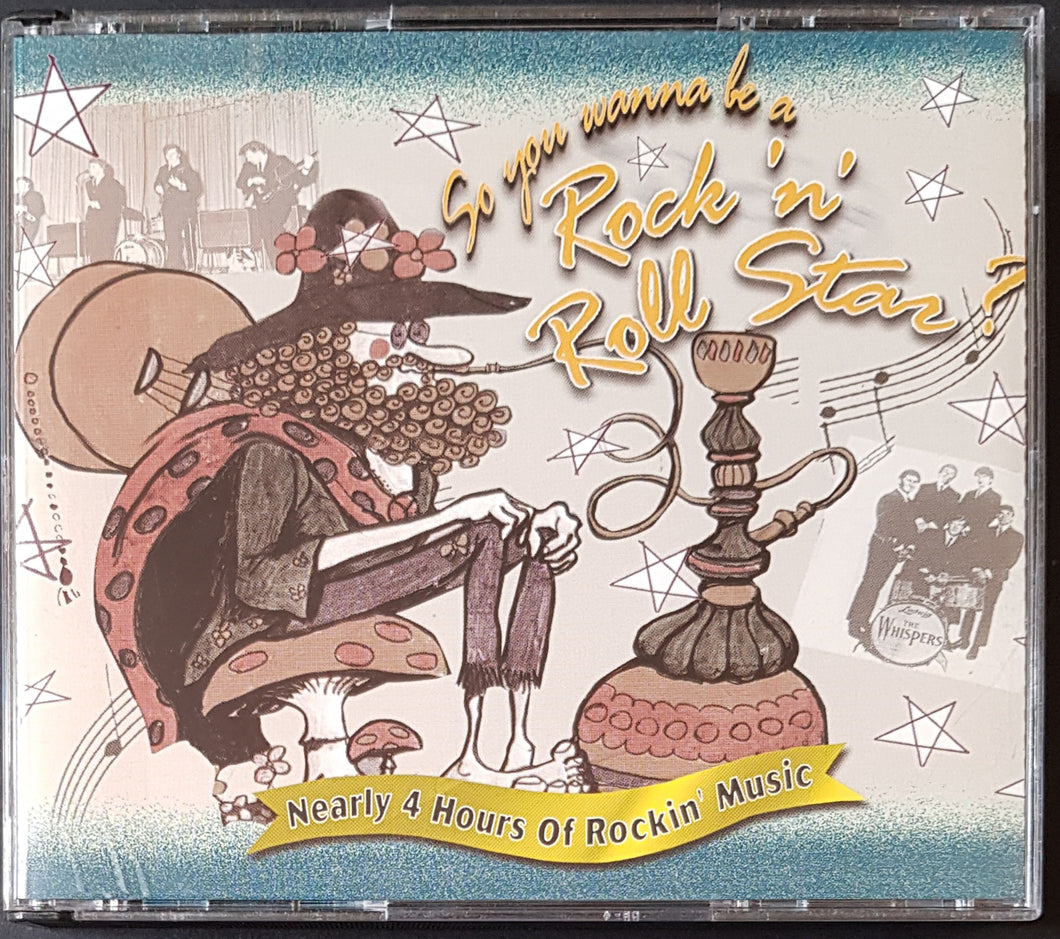 V/A - So You Wanna Be A Rock 'n' Roll Star