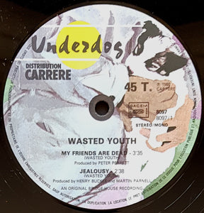 Wasted Youth - My Friends Are Dead